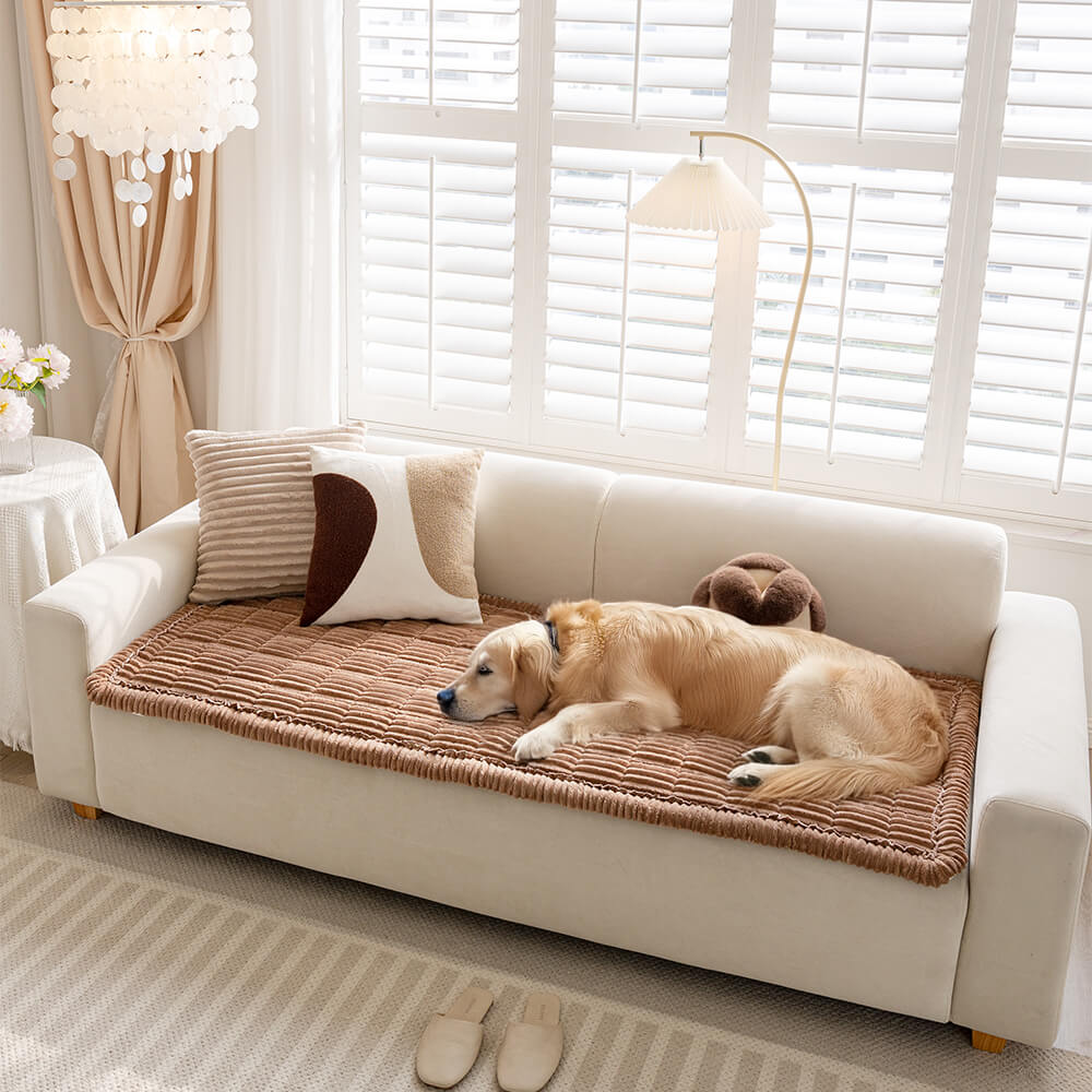 Soft Pet Couch Cover | Cozy, Non-Slip & Washable