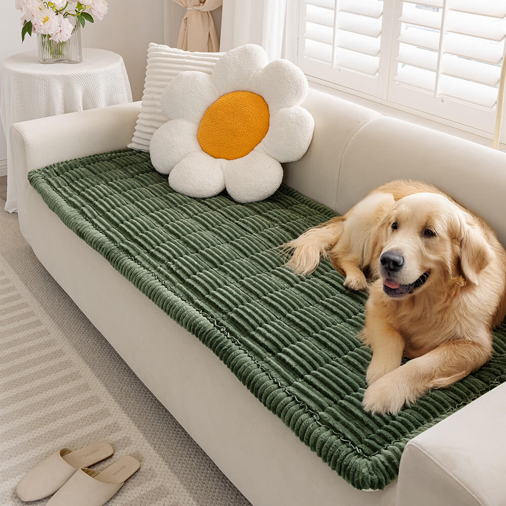 Soft Pet Couch Cover | Cozy, Non-Slip & Washable