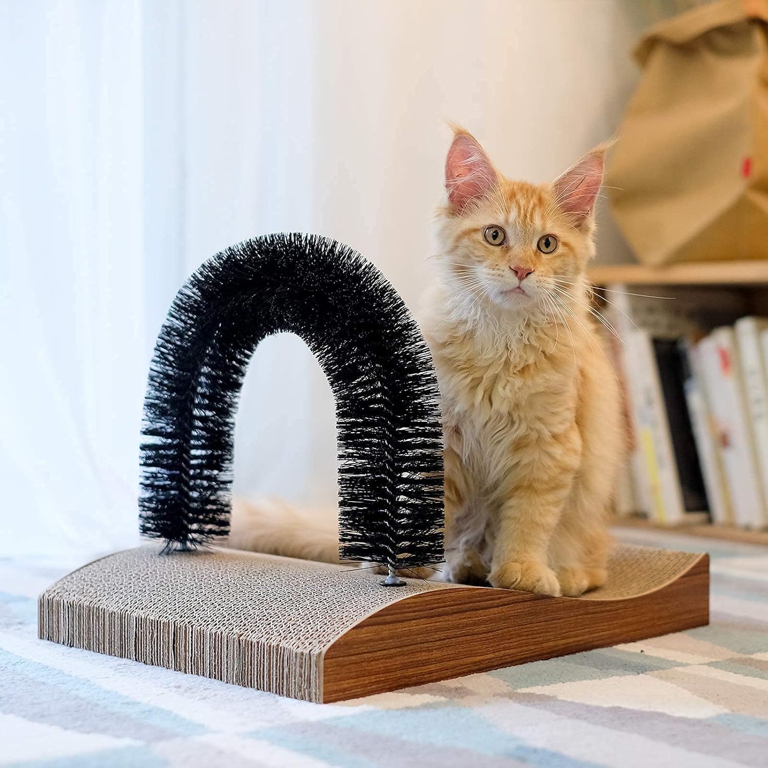 Cat Self Groomer,  Cat Arch Face Scratcher with Scratcher Pad